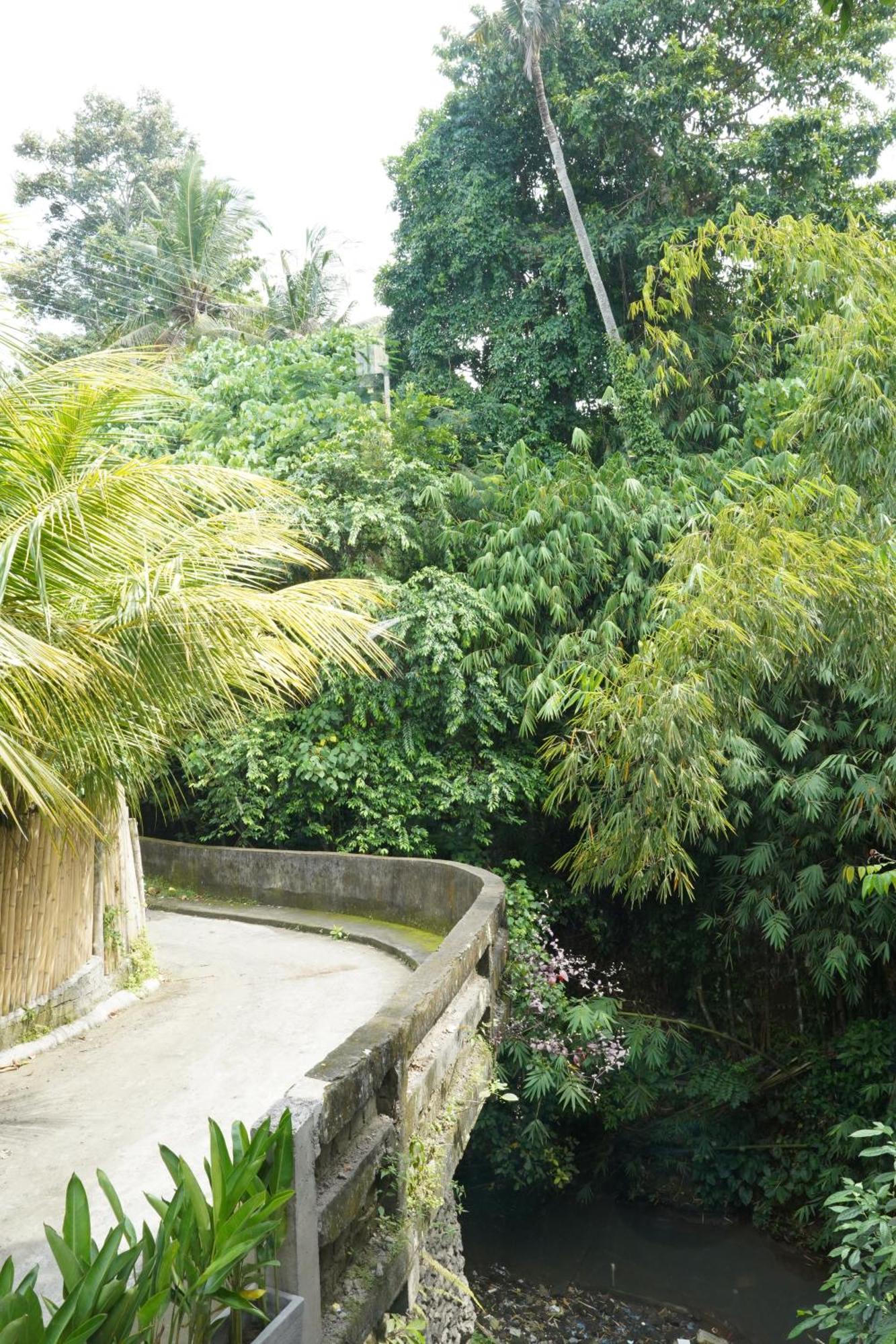 Central House Ubud Kültér fotó